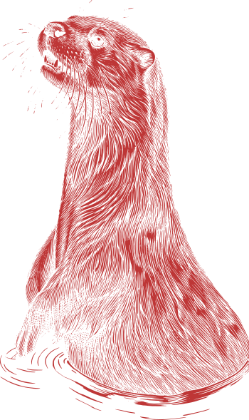 XTINCT vidra grafika